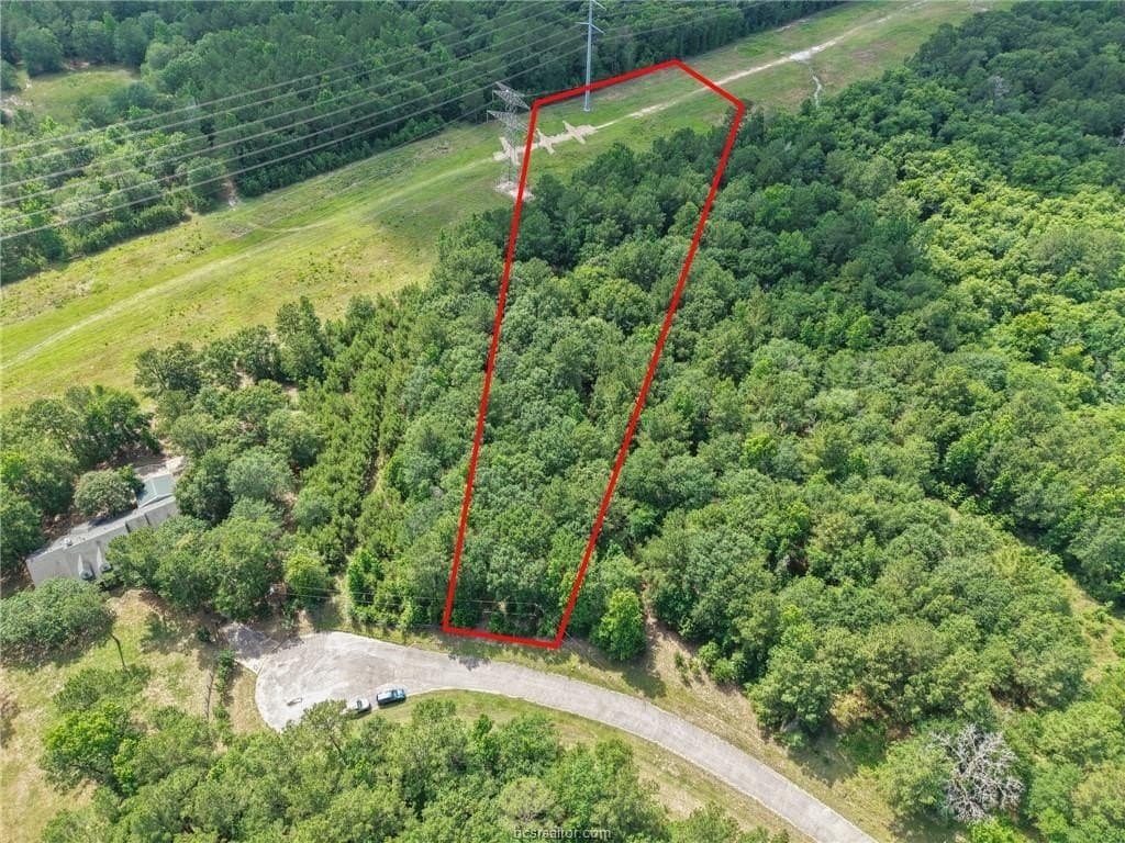 4.28 acres in Grimes County gallery image 3
