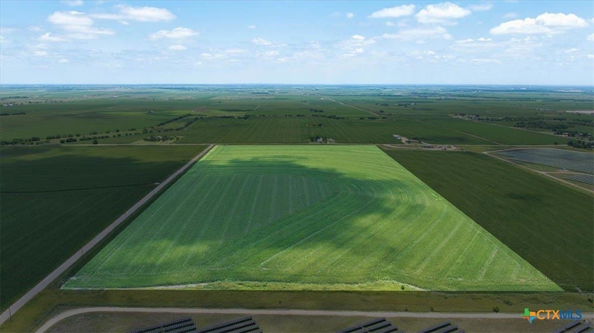 49.81 acres in Travis County gallery image 4