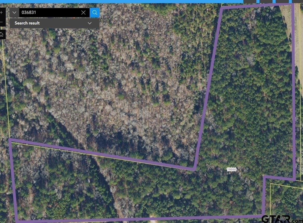 24.16 acres in Smith County gallery image 2