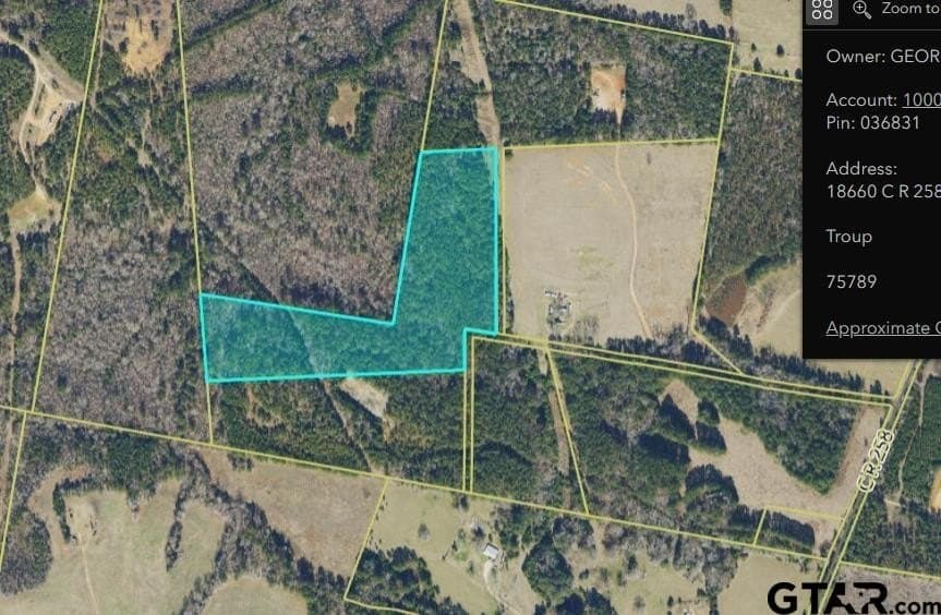 24.16 acres in Smith County gallery image 3