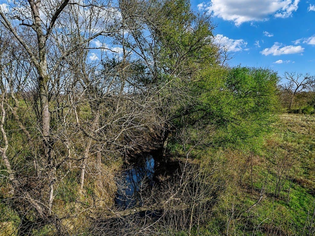 10 acres in Limestone County - photo 18