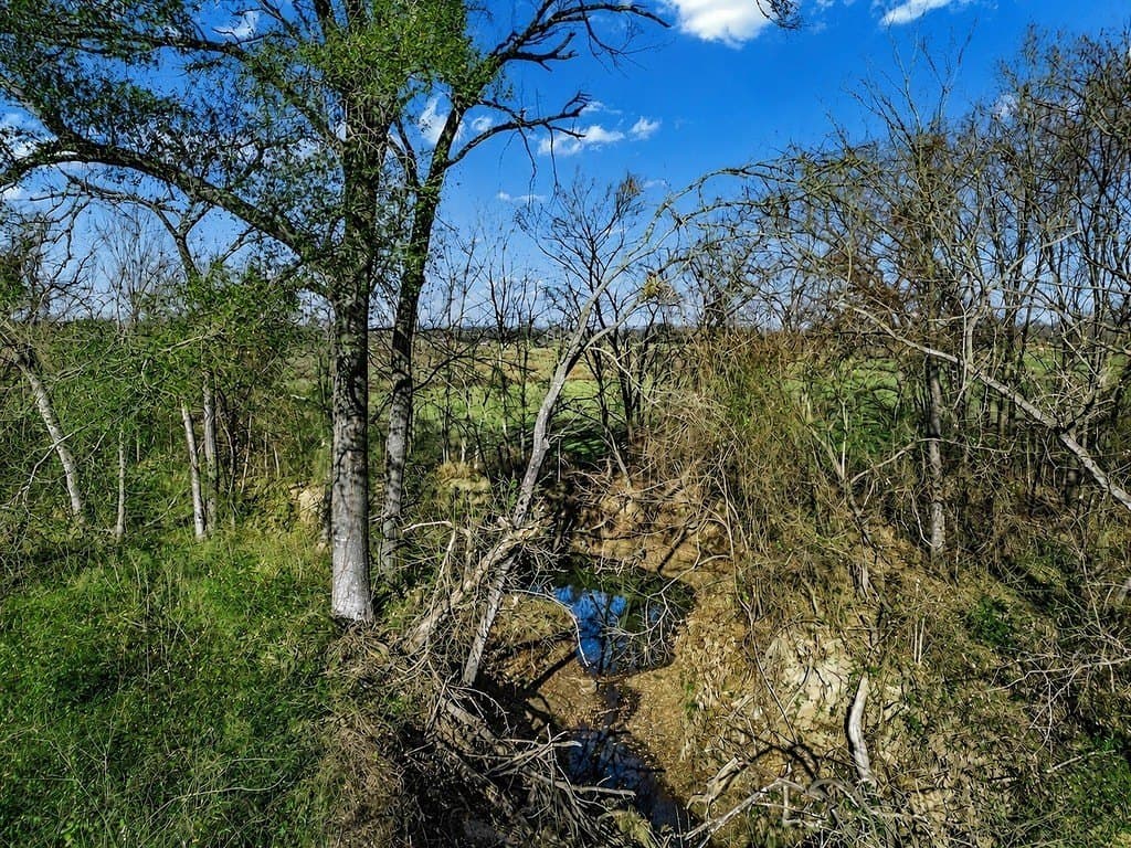 10 acres in Limestone County - photo 19