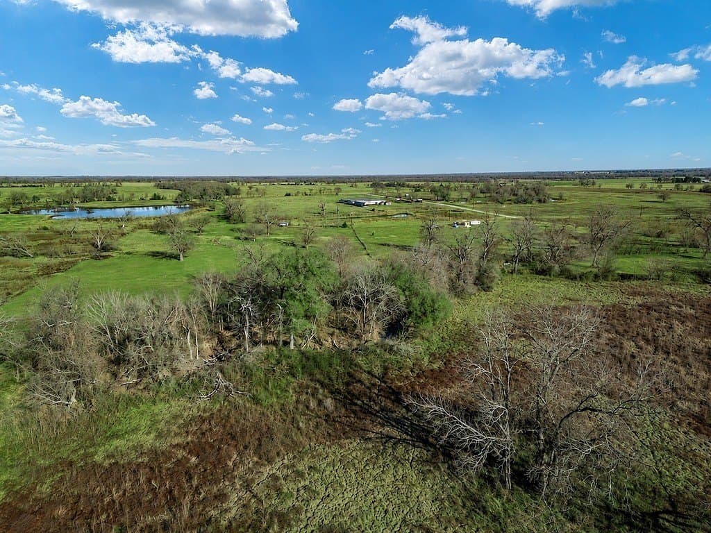 10 acres in Limestone County - photo 11