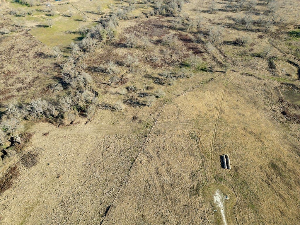 10 acres in Limestone County gallery image 3