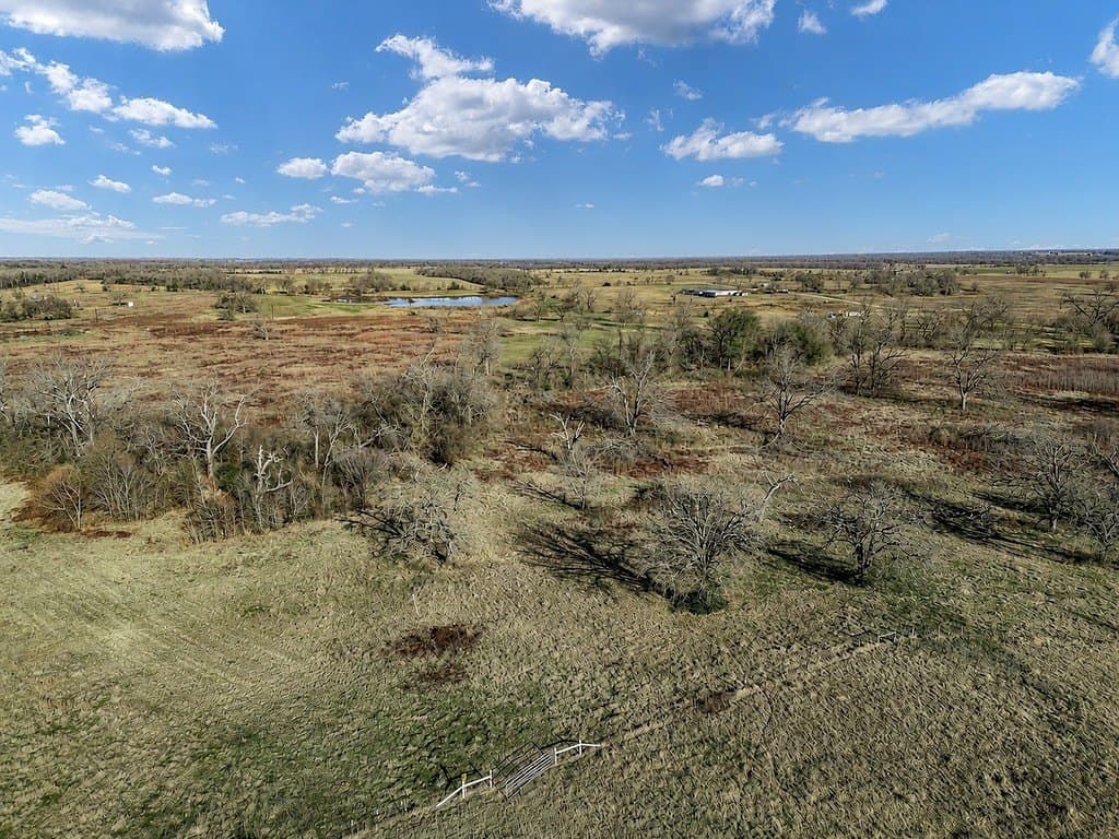 10 acres in Limestone County - photo 7