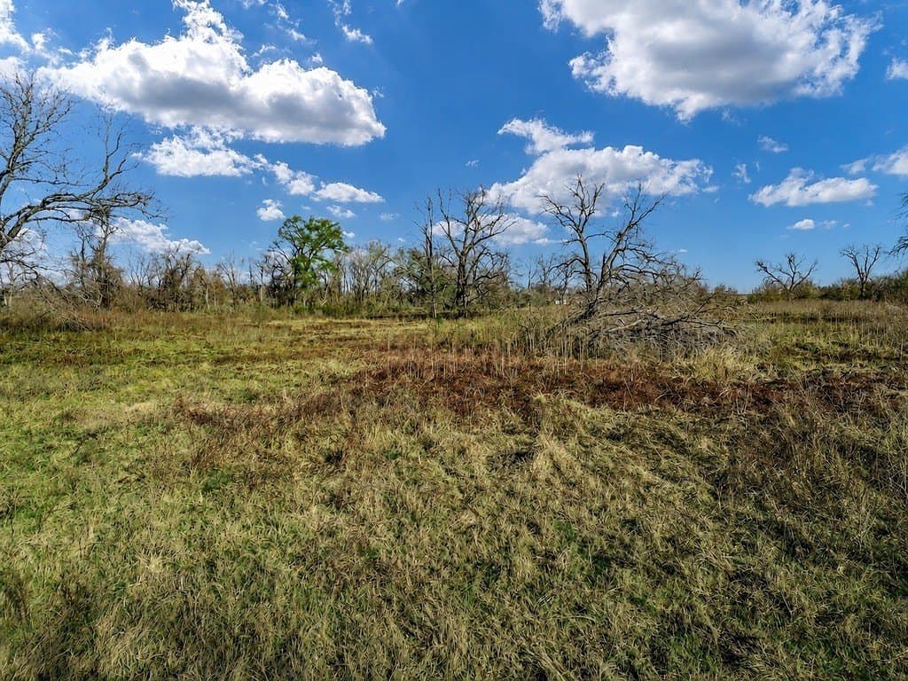 10 acres in Limestone County - photo 15