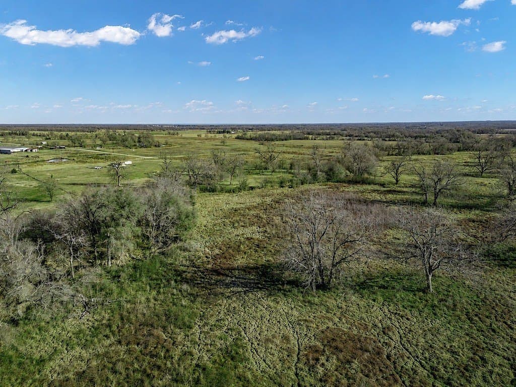 10 acres in Limestone County - photo 12