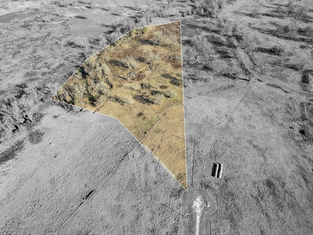 10 acres in Limestone County gallery image 2