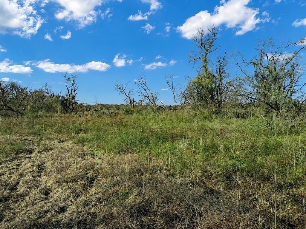 10 acres in Limestone County - photo 16