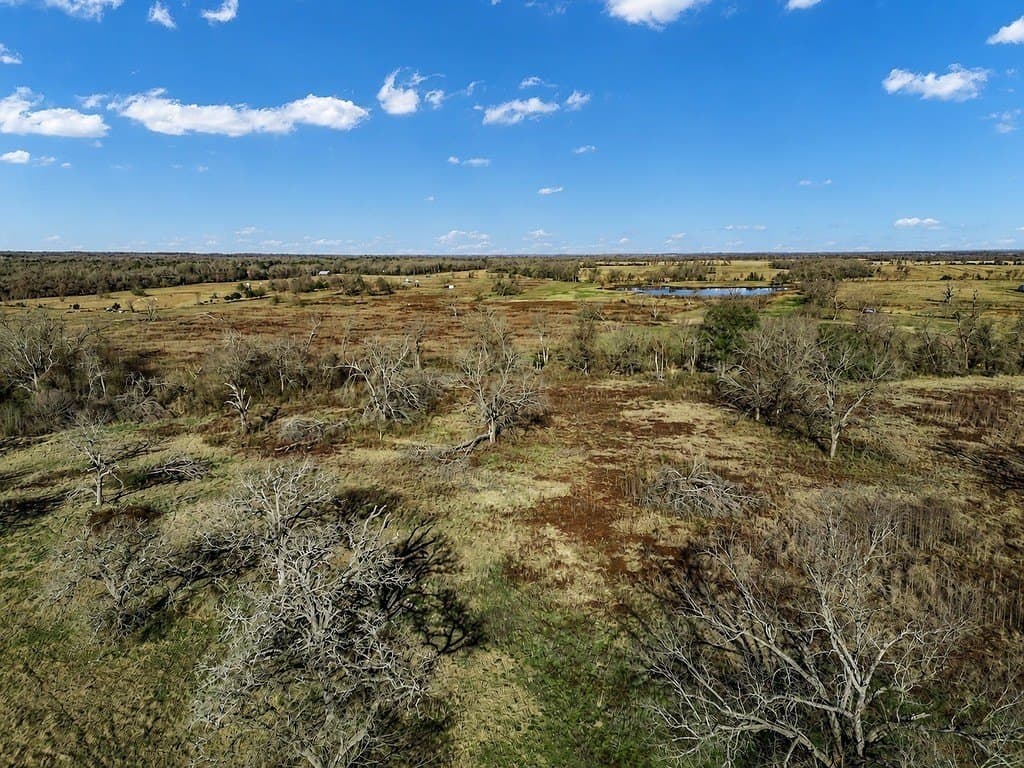 10 acres in Limestone County - photo 6