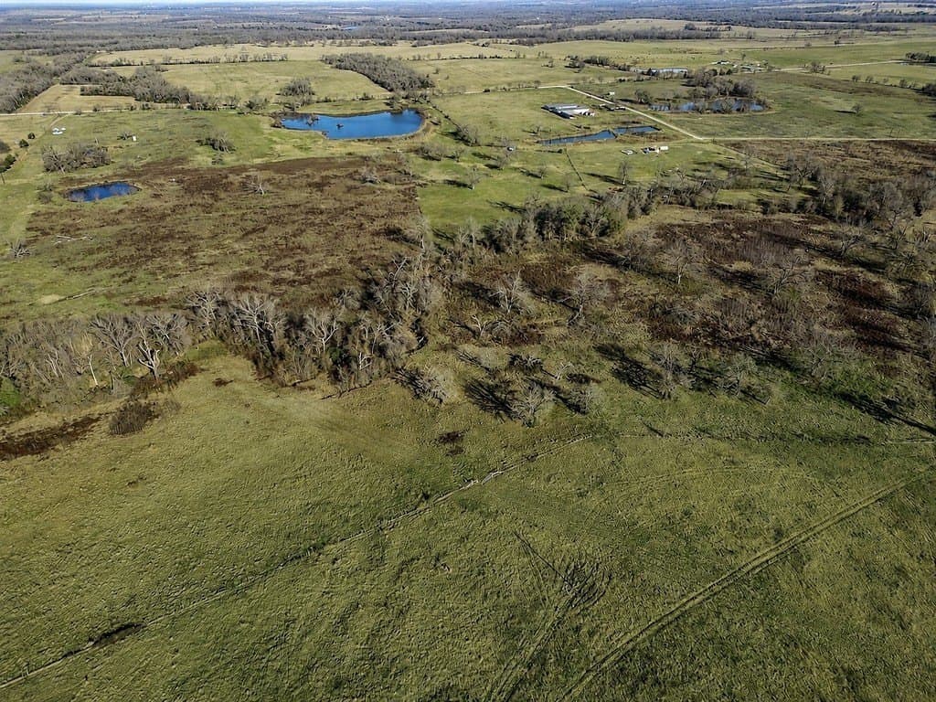 10 acres in Limestone County - photo 5