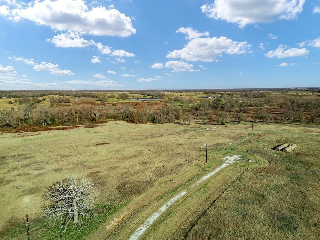 10 acres in Limestone County gallery image 4