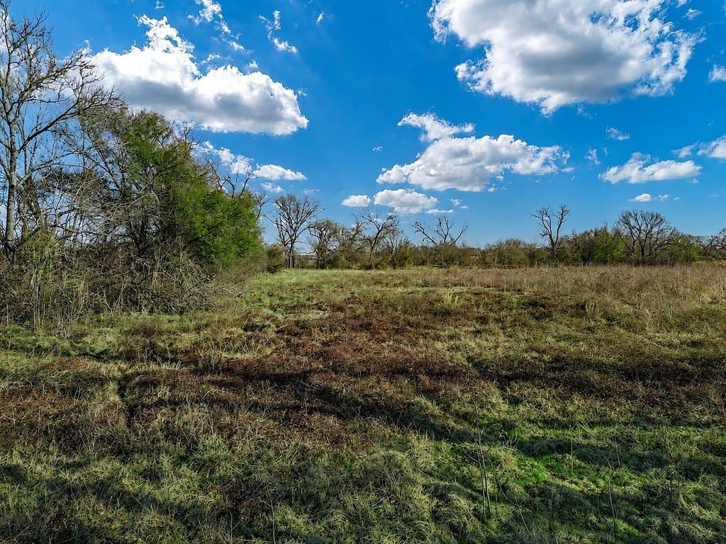 10 acres in Limestone County - photo 17