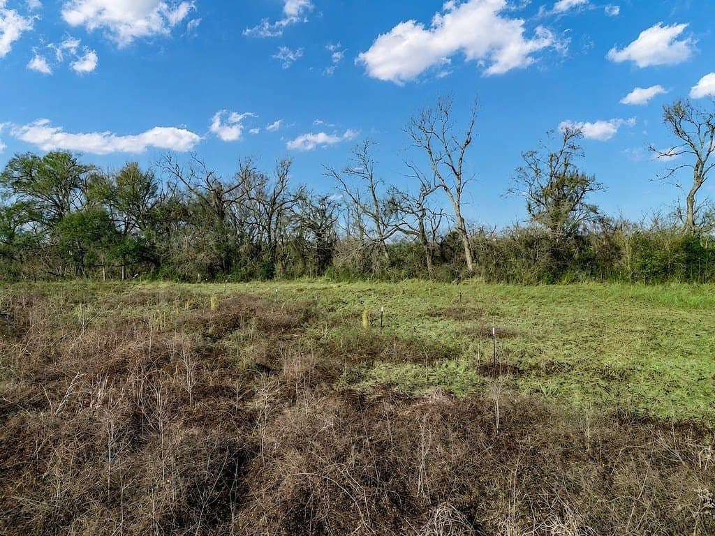 10 acres in Limestone County - photo 13