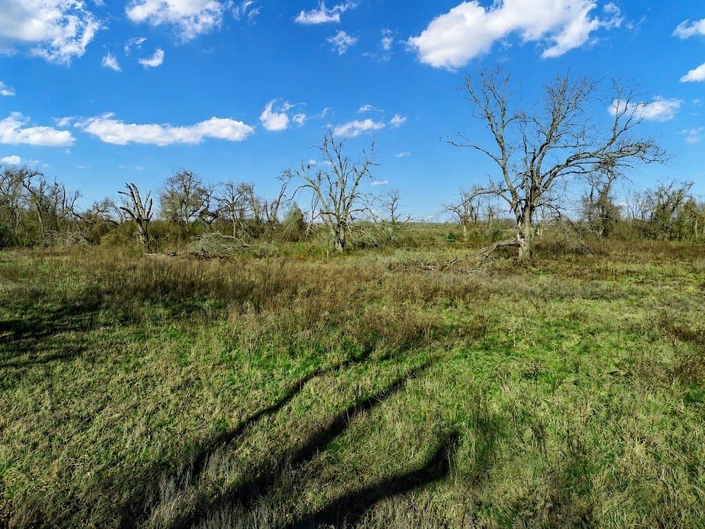10 acres in Limestone County - photo 14