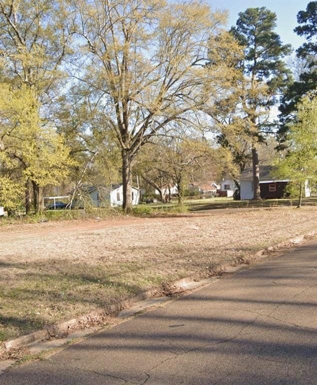 0.29 acres in Bowie County gallery image 2
