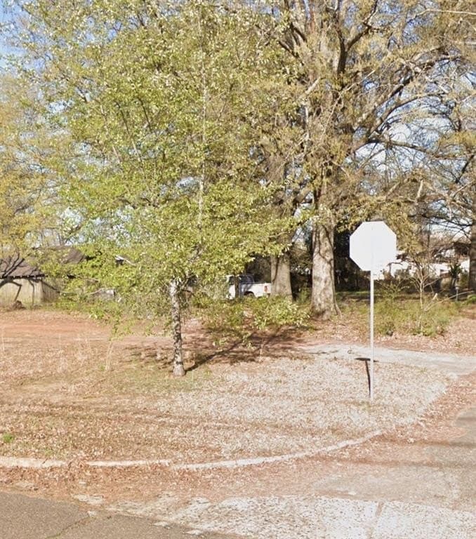0.29 acres in Bowie County gallery image 4