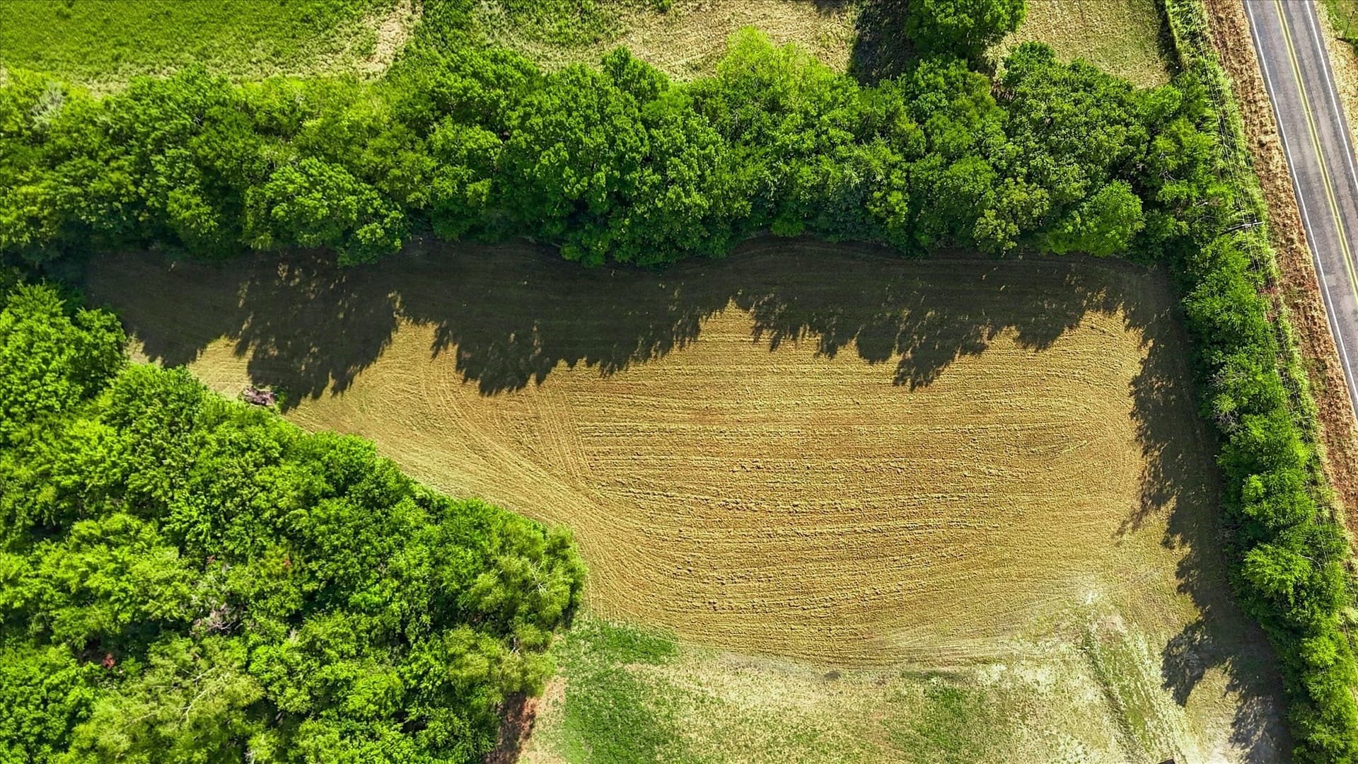 2.11 acres in Grayson County - photo 4