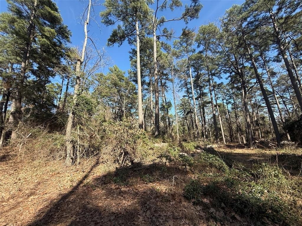 0.78 acres in Wood County gallery image 3