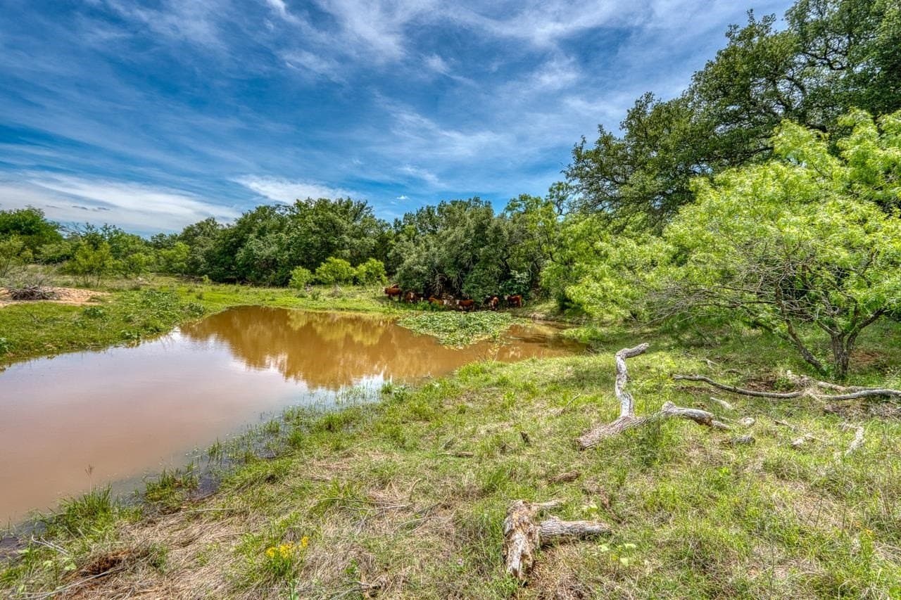125.78 acres in Llano County - photo 31