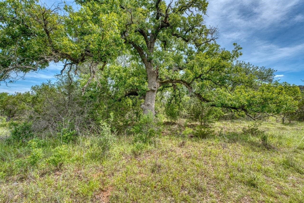 125.78 acres in Llano County - photo 35