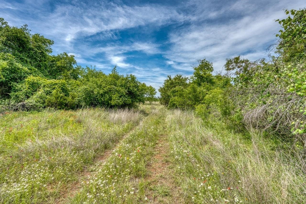 125.78 acres in Llano County - photo 38