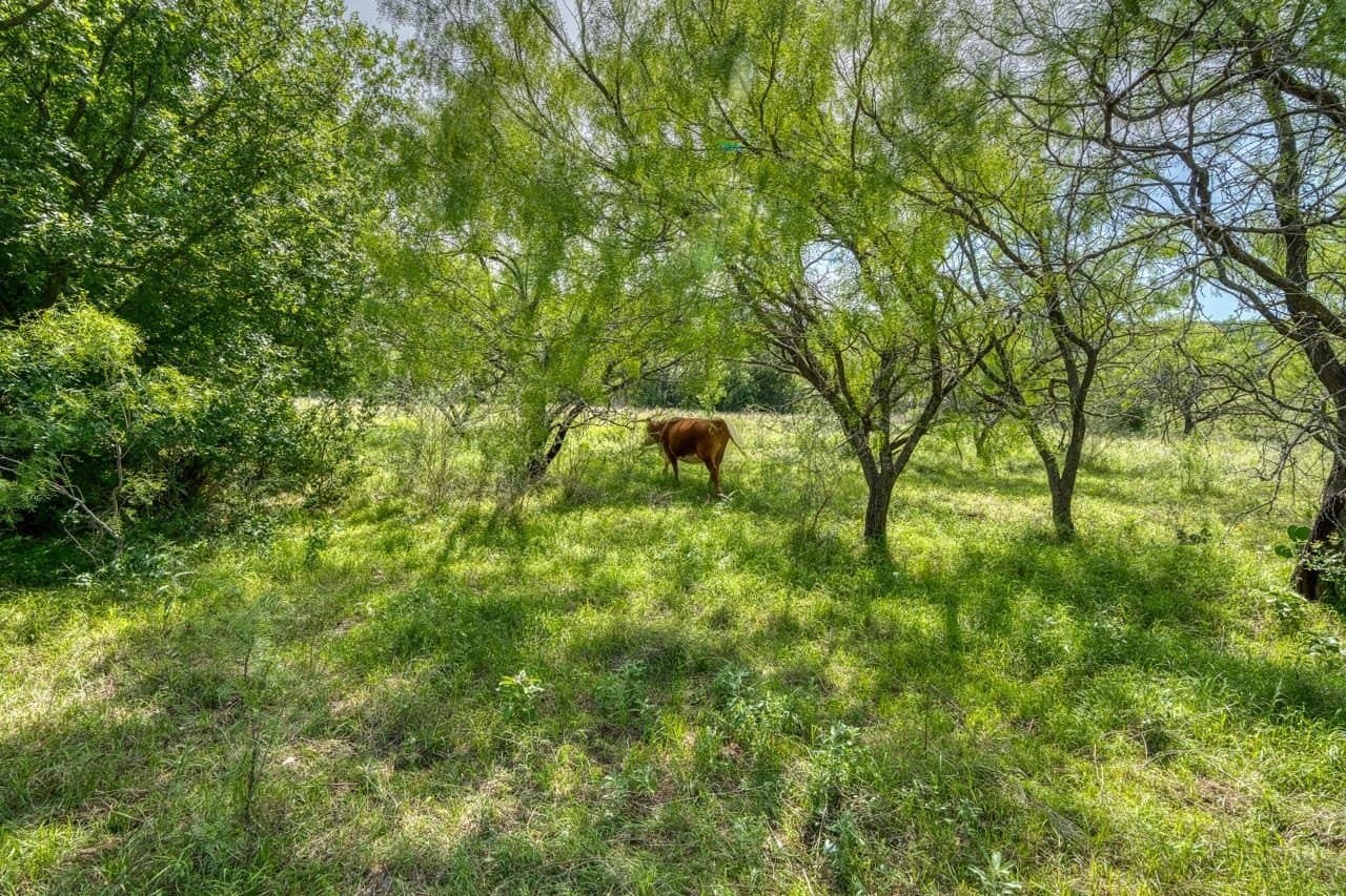 125.78 acres in Llano County - photo 30