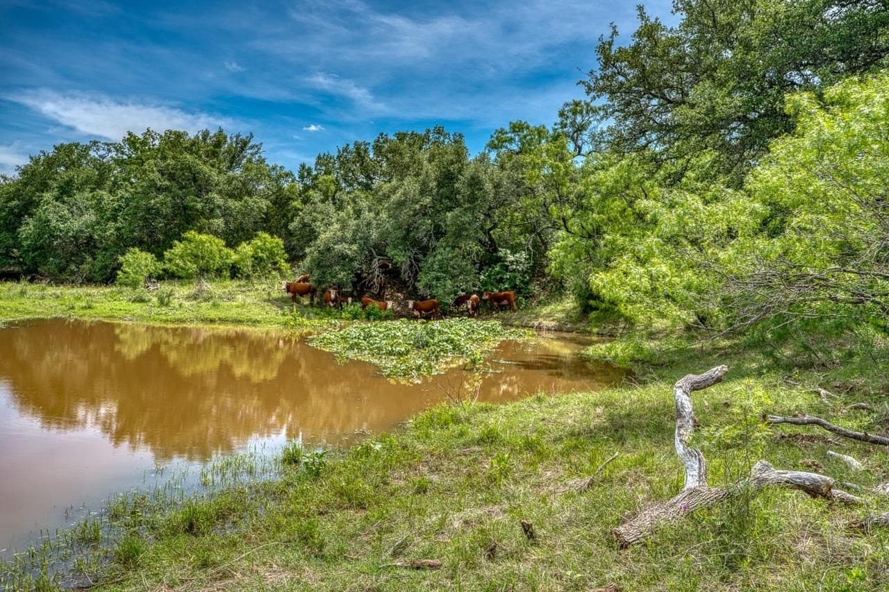 125.78 acres in Llano County - photo 32