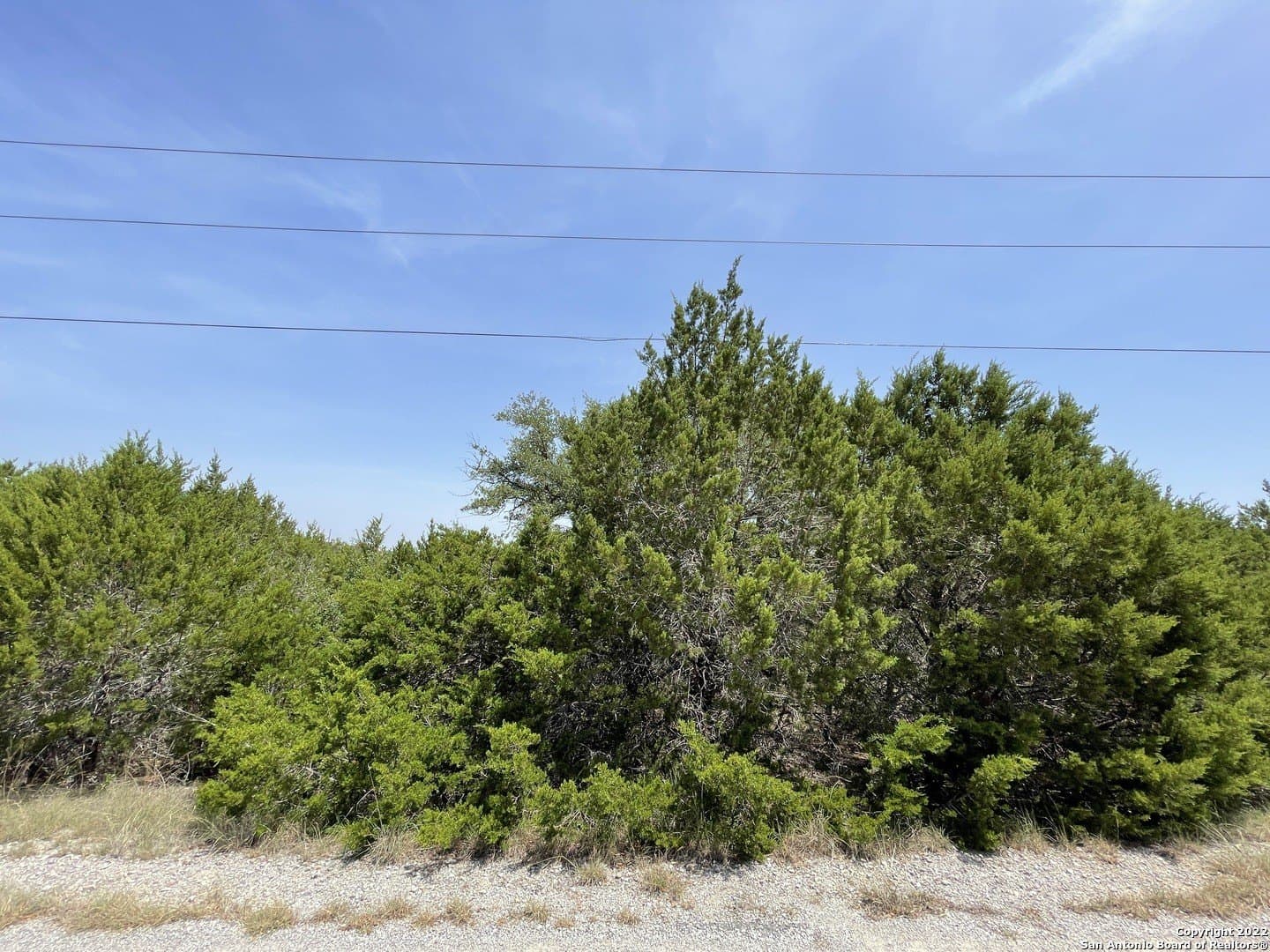 0.89 acres in Comal County gallery image 2