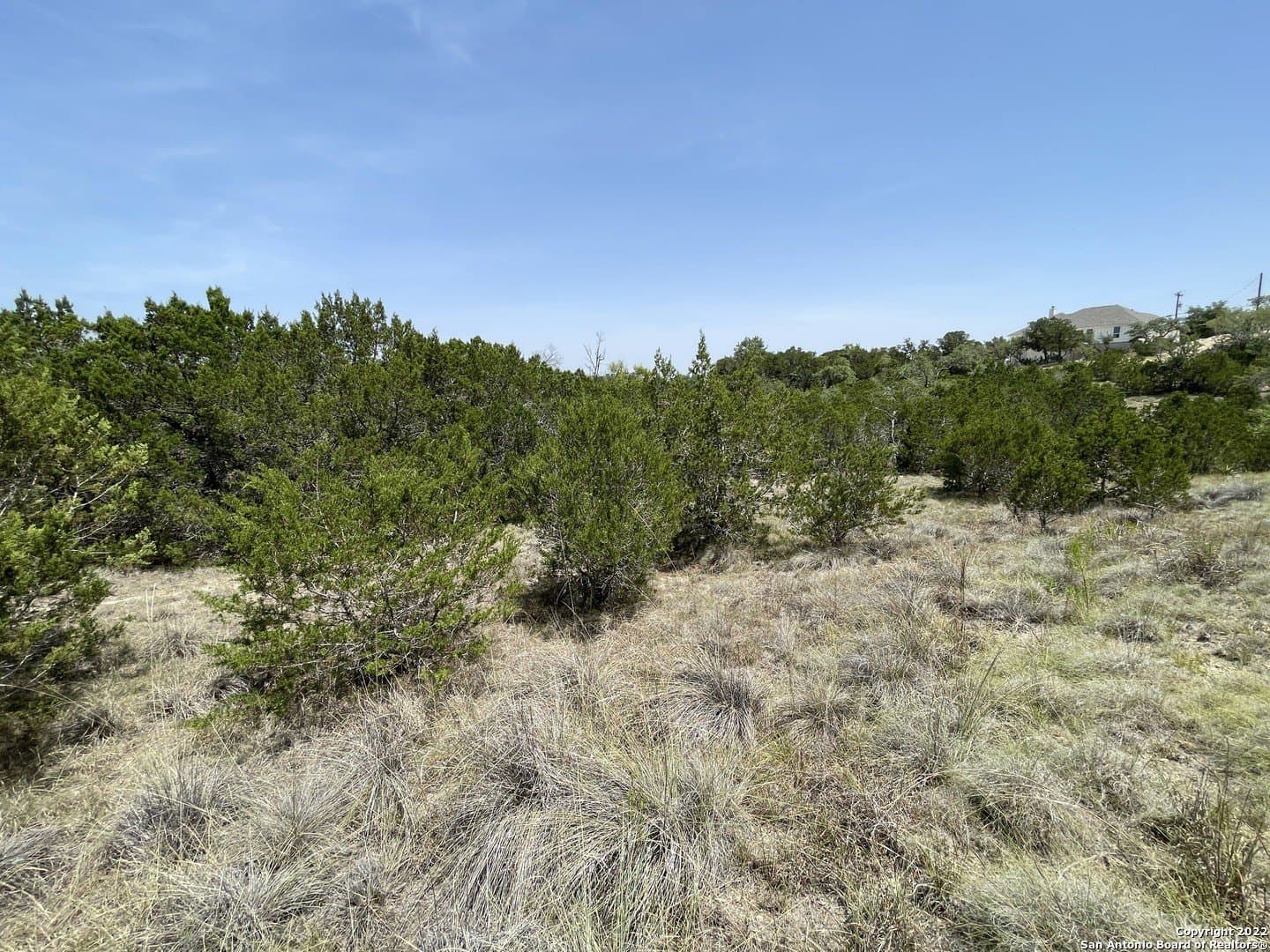 0.89 acres in Comal County gallery image 4