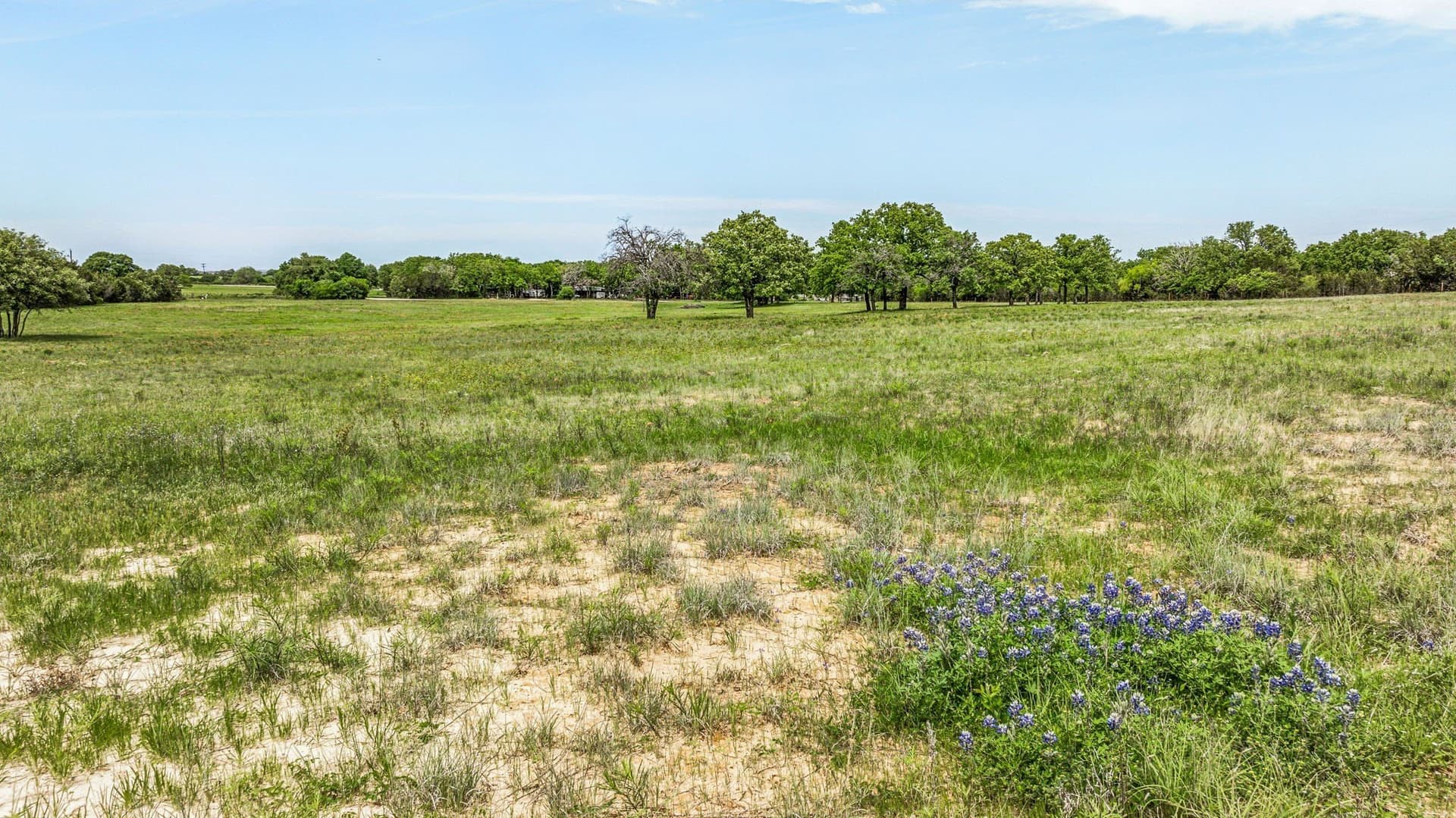 11 acres in Somervell County - photo 13