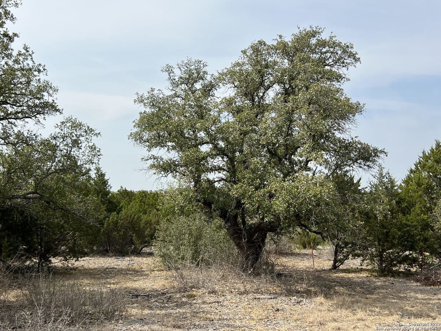 20.02 acres in Hamilton County gallery image 4