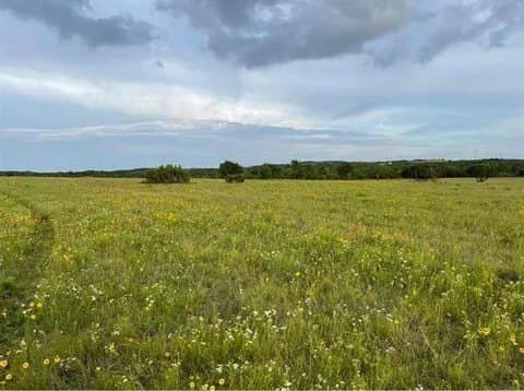 2.21 acres in Johnson County gallery image 2