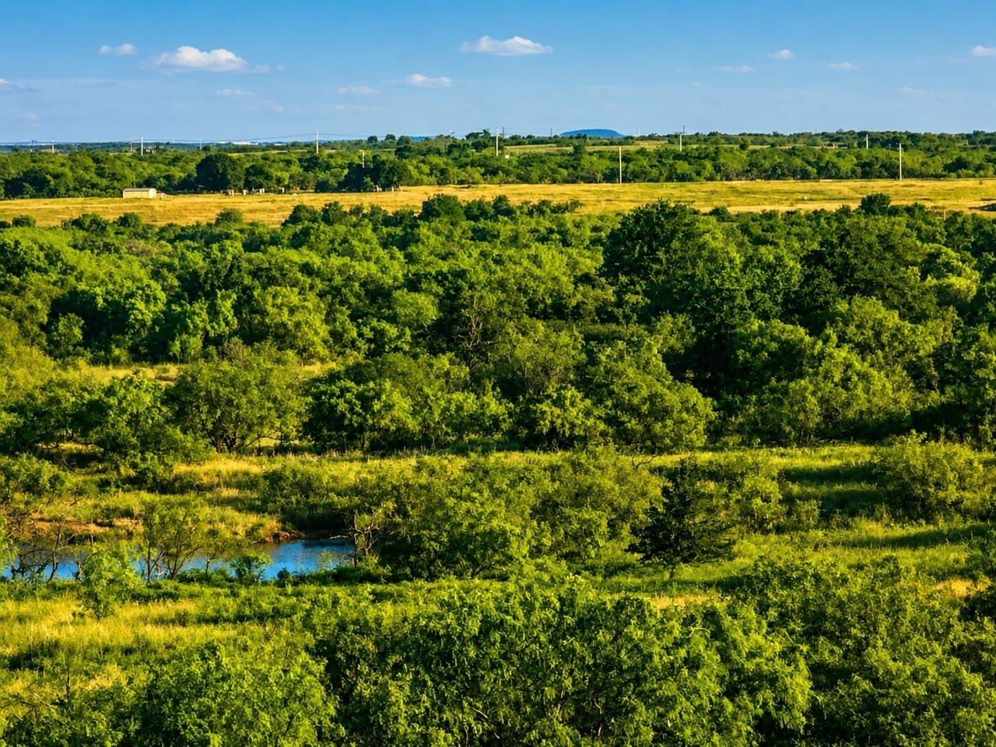 93.69 acres in Montague County - photo 22