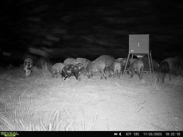 93.69 acres in Montague County - photo 37
