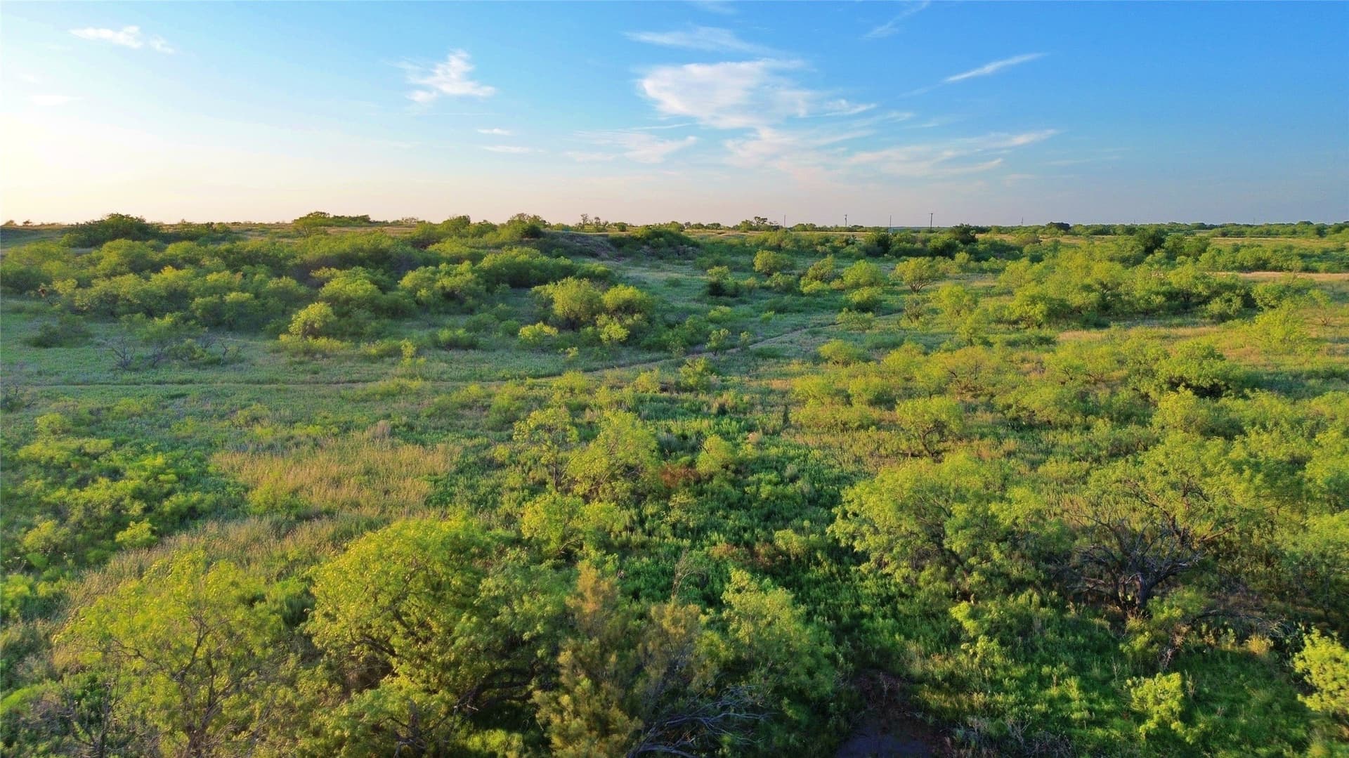 93.69 acres in Montague County - photo 5