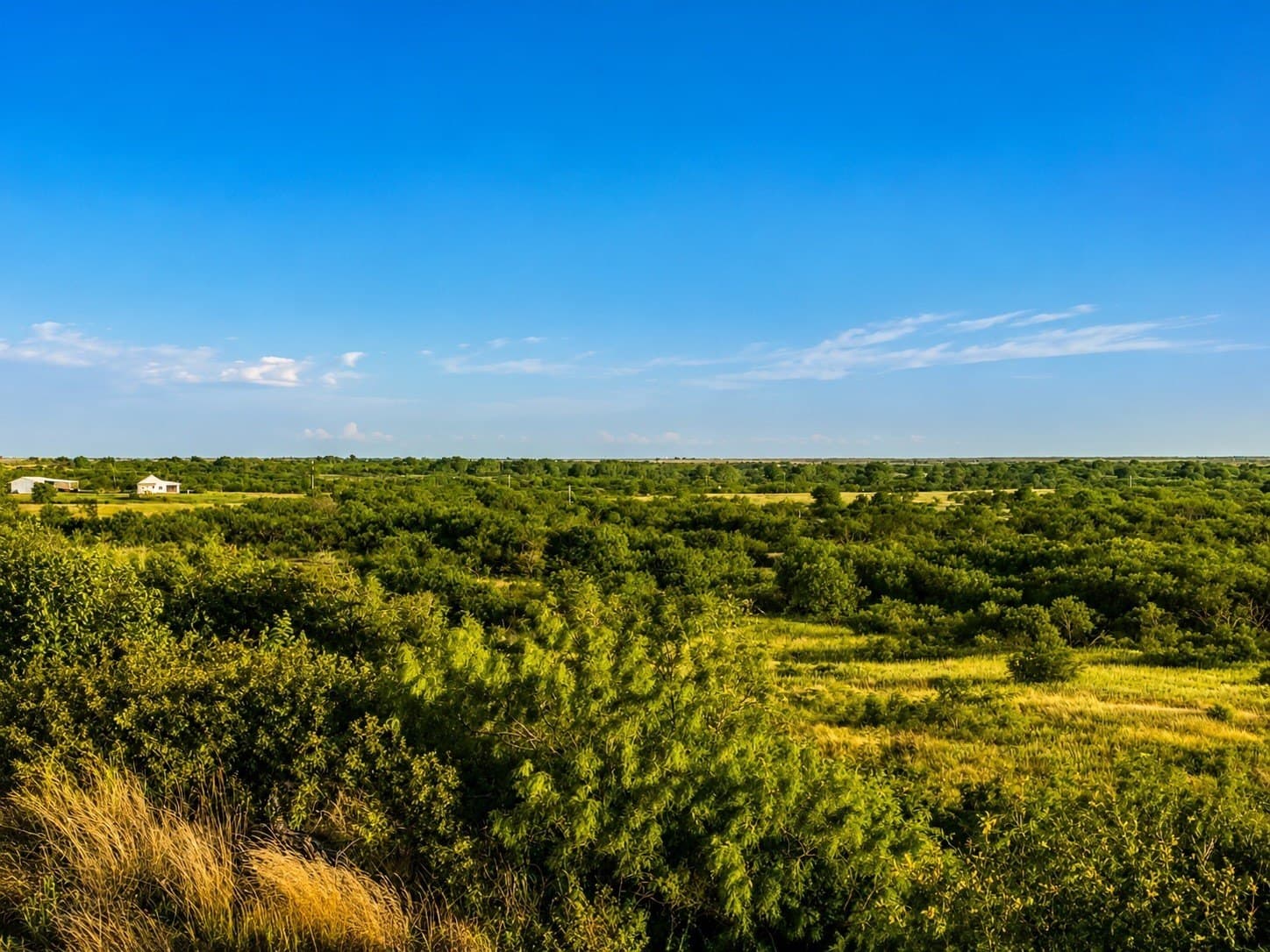 93.69 acres in Montague County - photo 21
