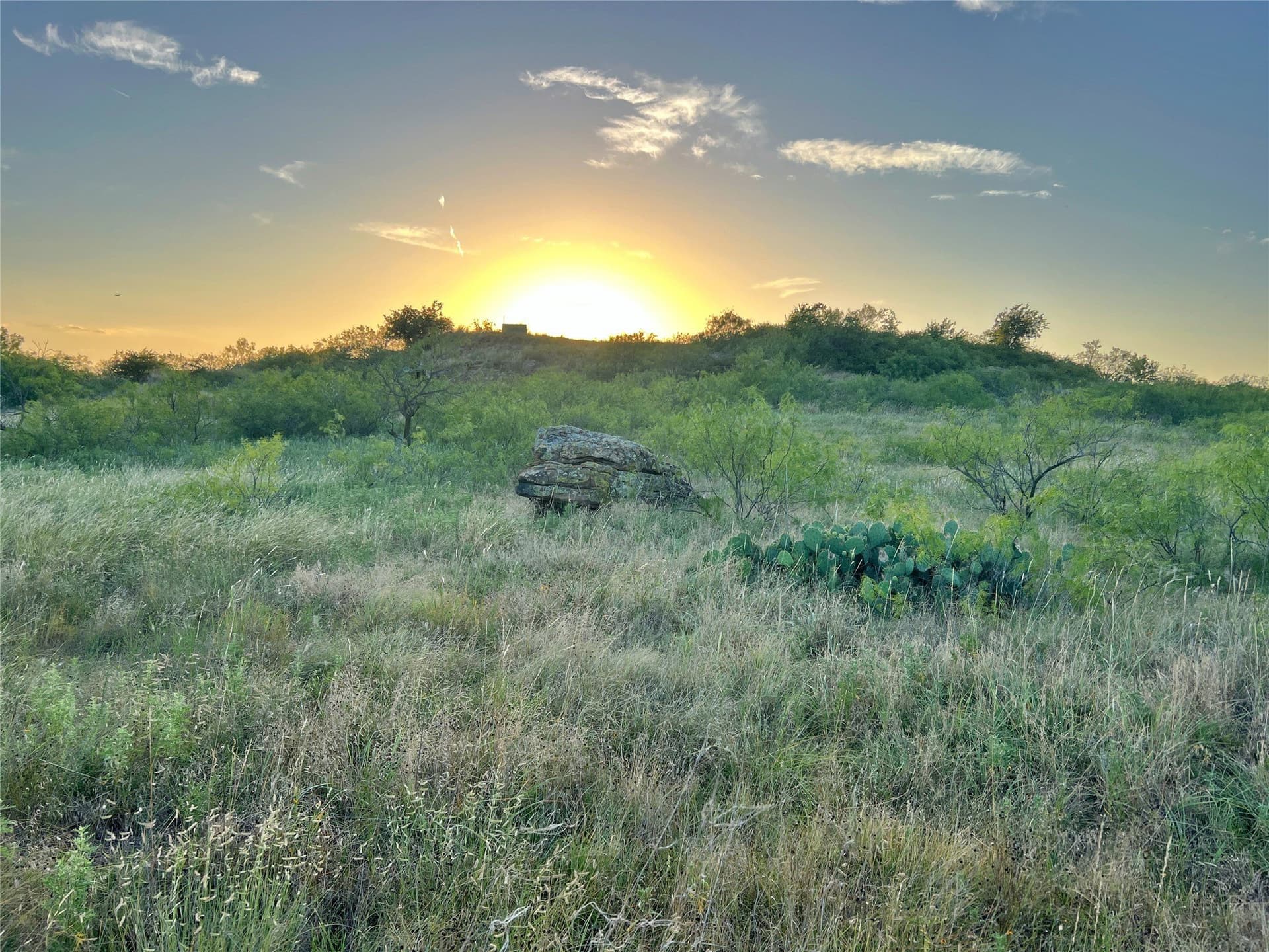 93.69 acres in Montague County - photo 27