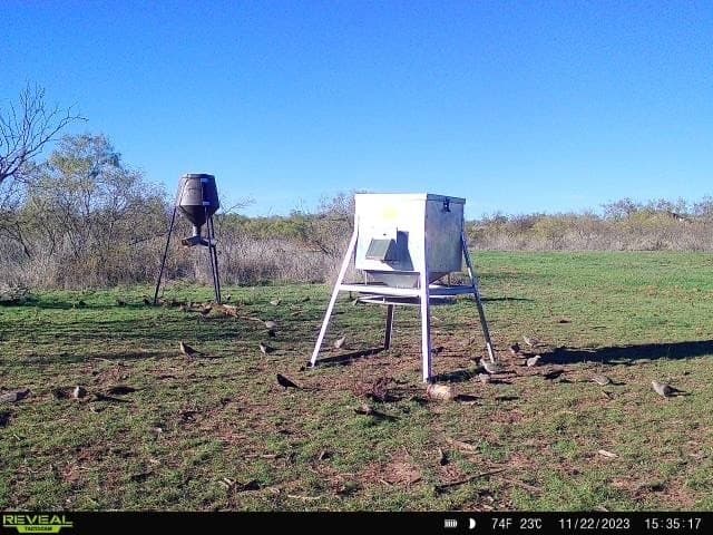 93.69 acres in Montague County - photo 38