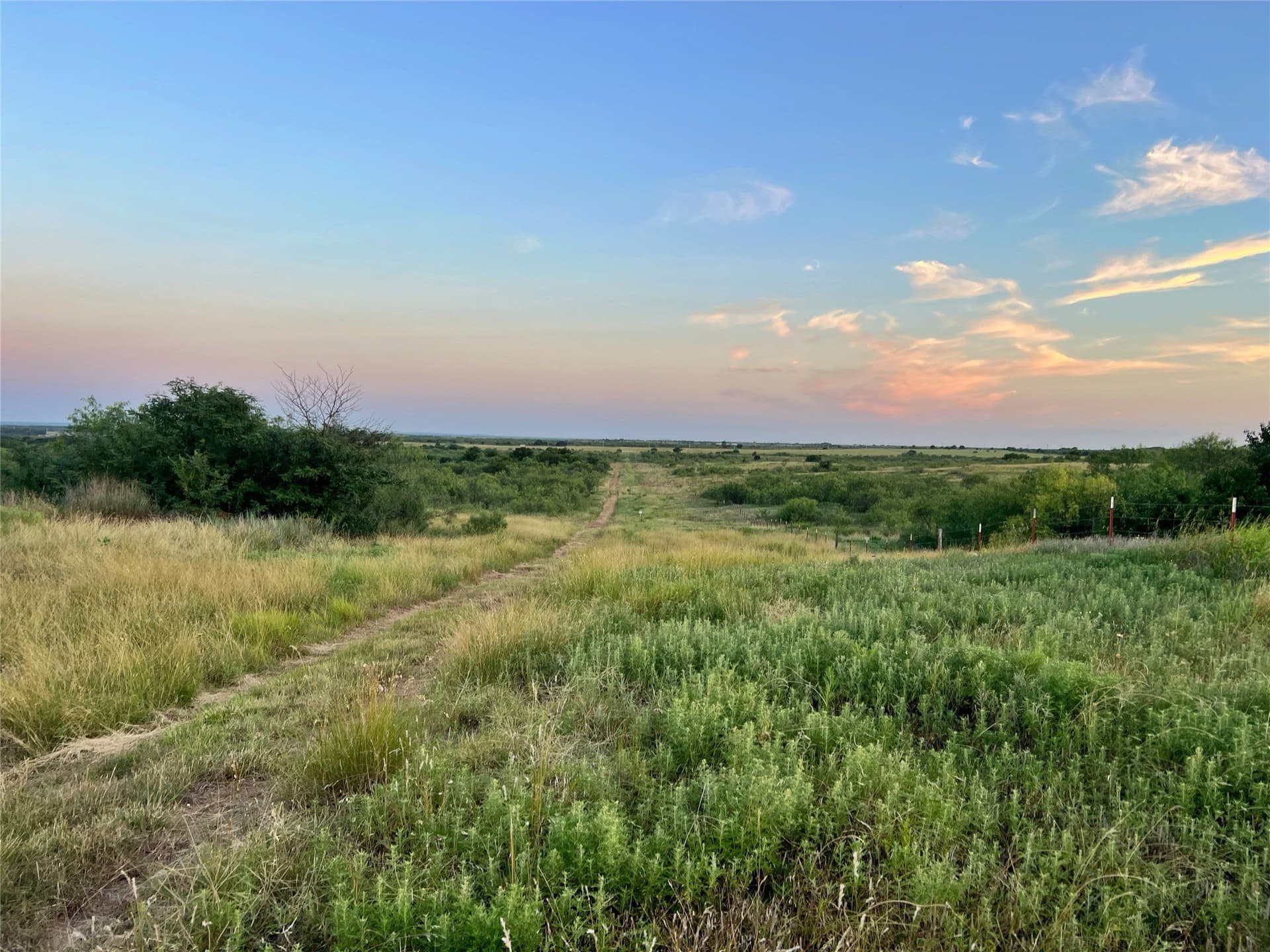 93.69 acres in Montague County - photo 29
