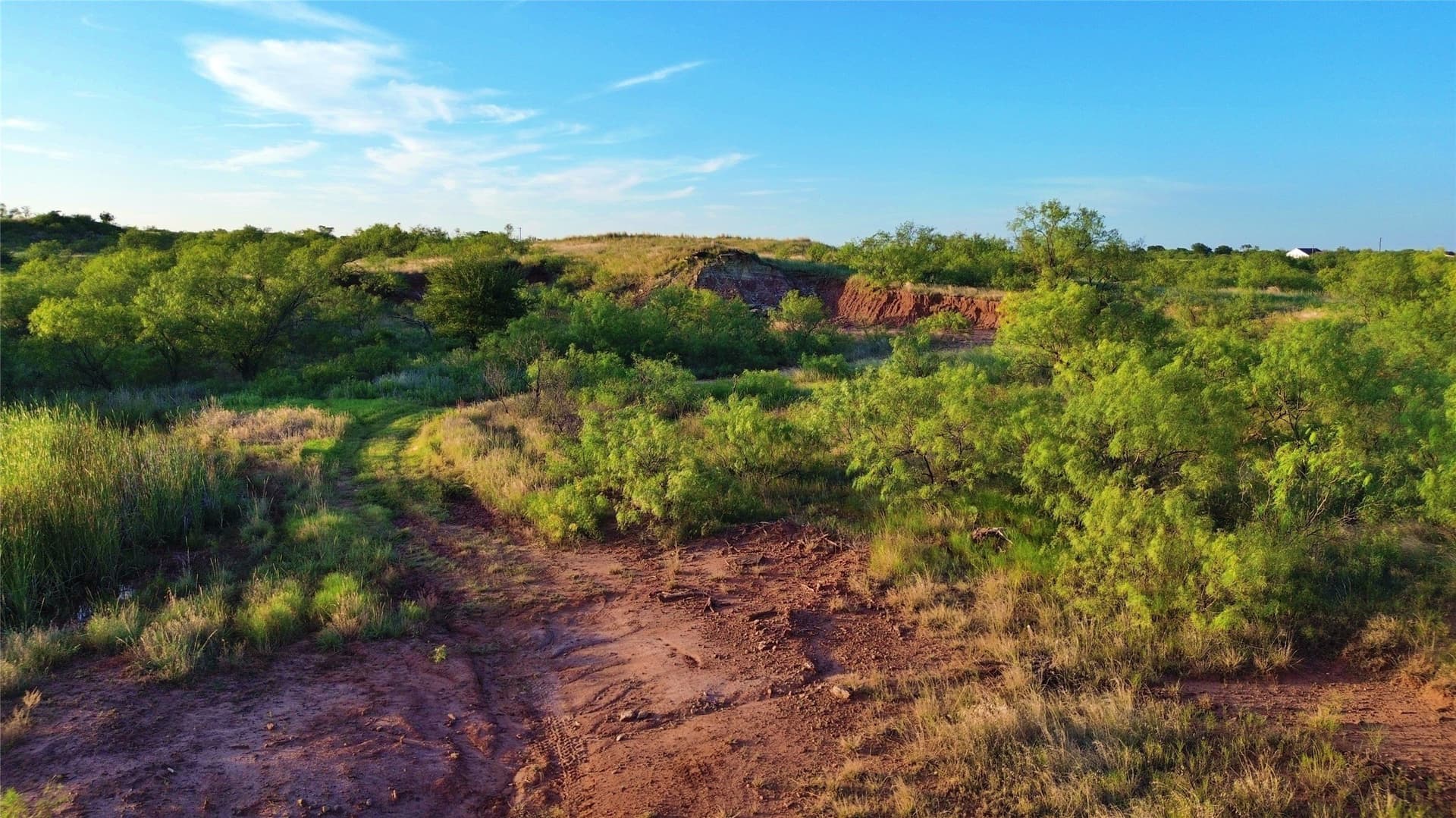 93.69 acres in Montague County - photo 3