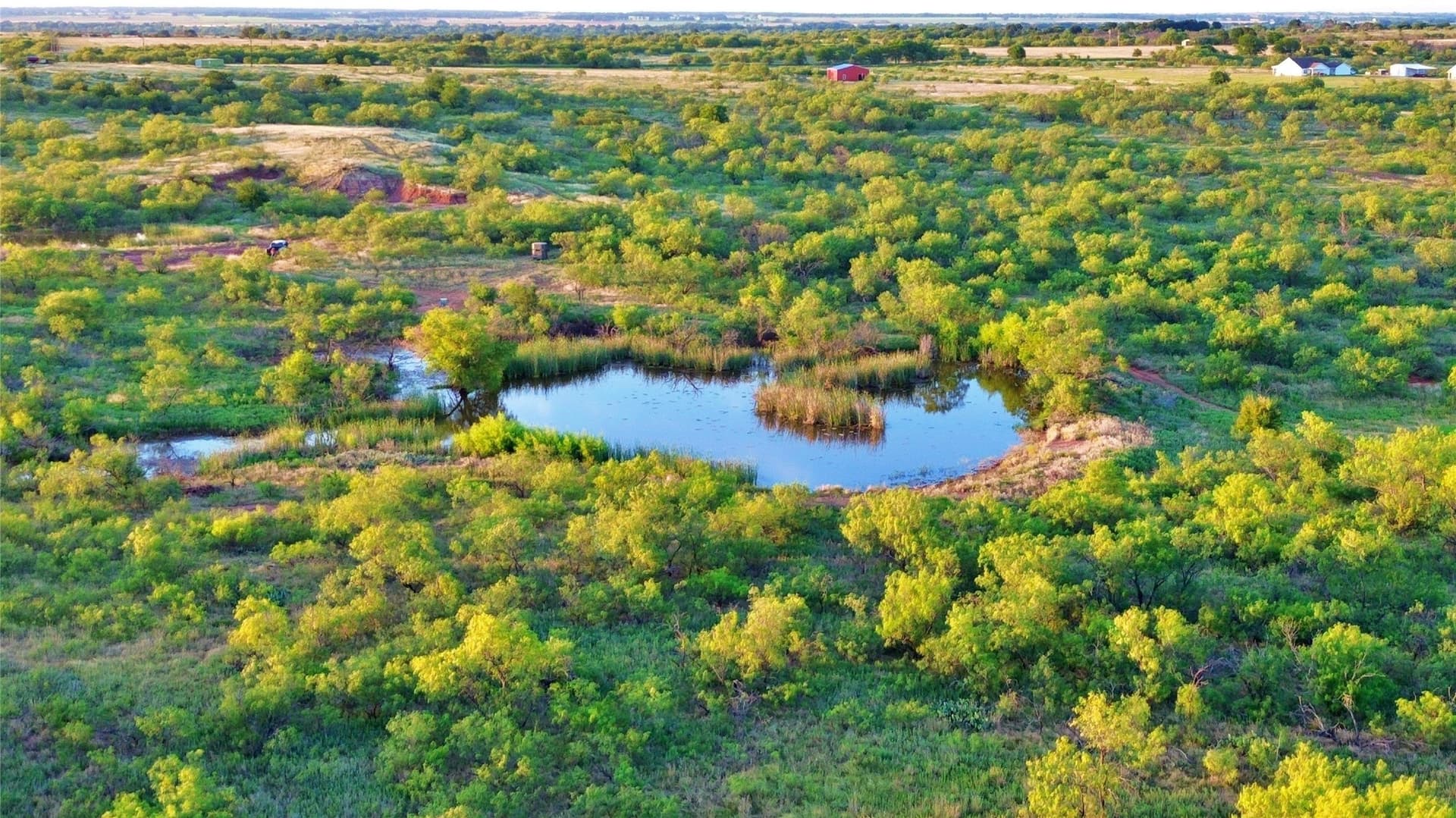 93.69 acres in Montague County - photo 8