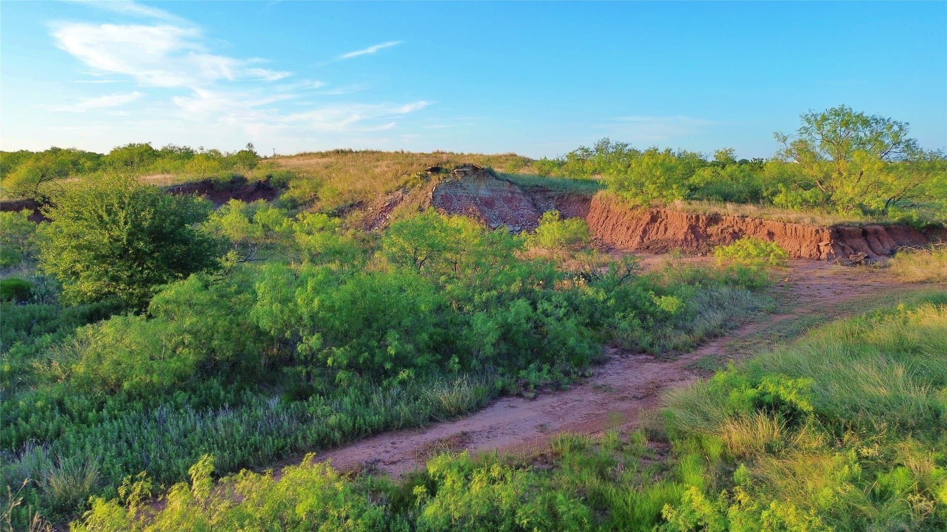 93.69 acres in Montague County - photo 4