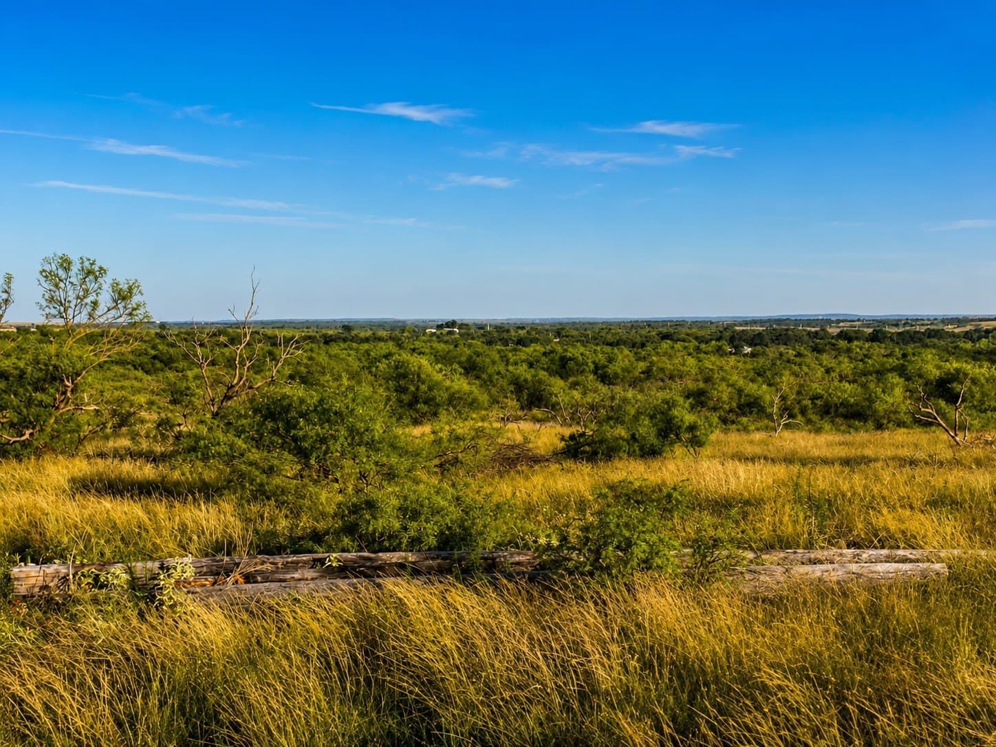 93.69 acres in Montague County - photo 20