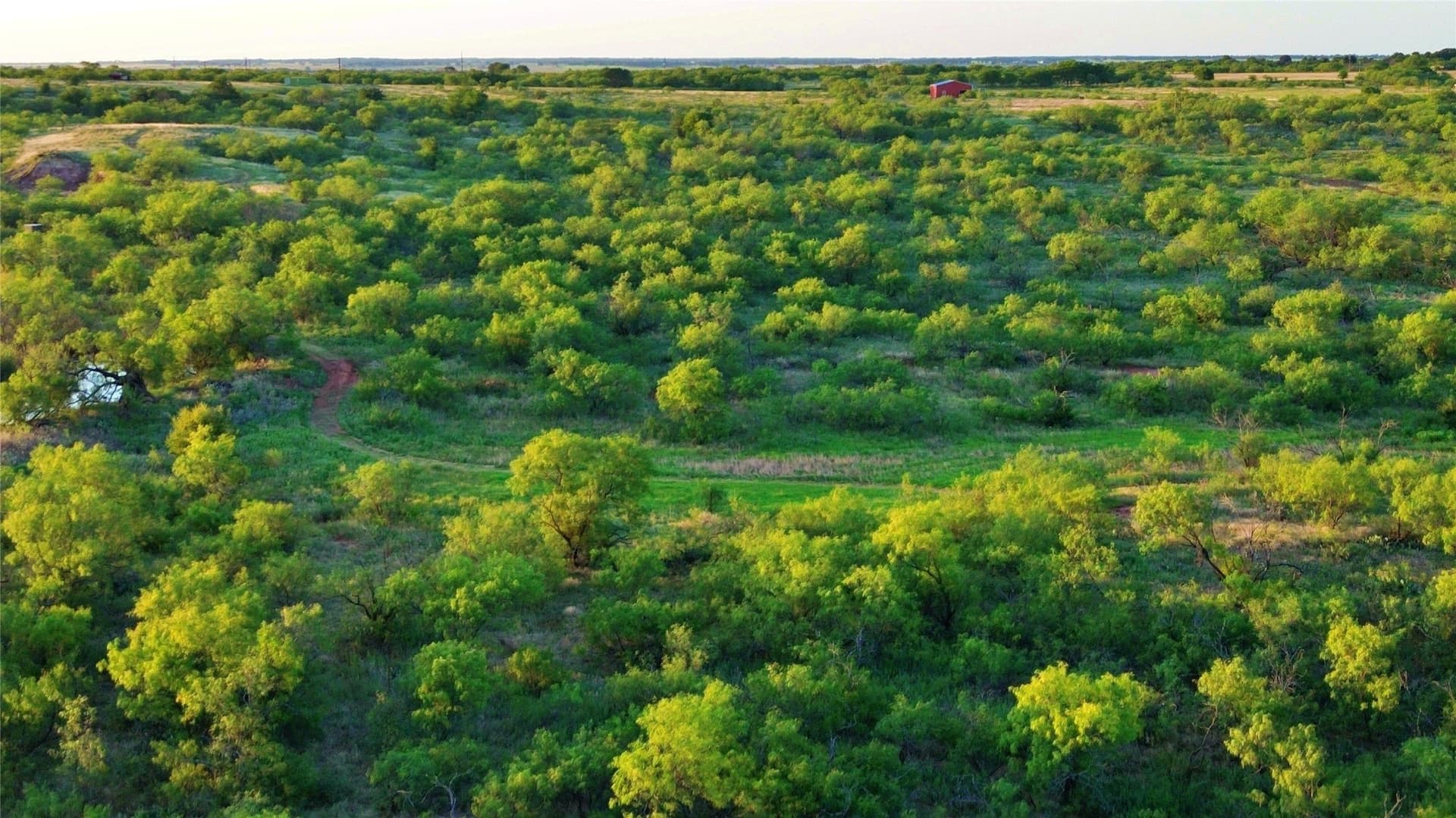 93.69 acres in Montague County - photo 9