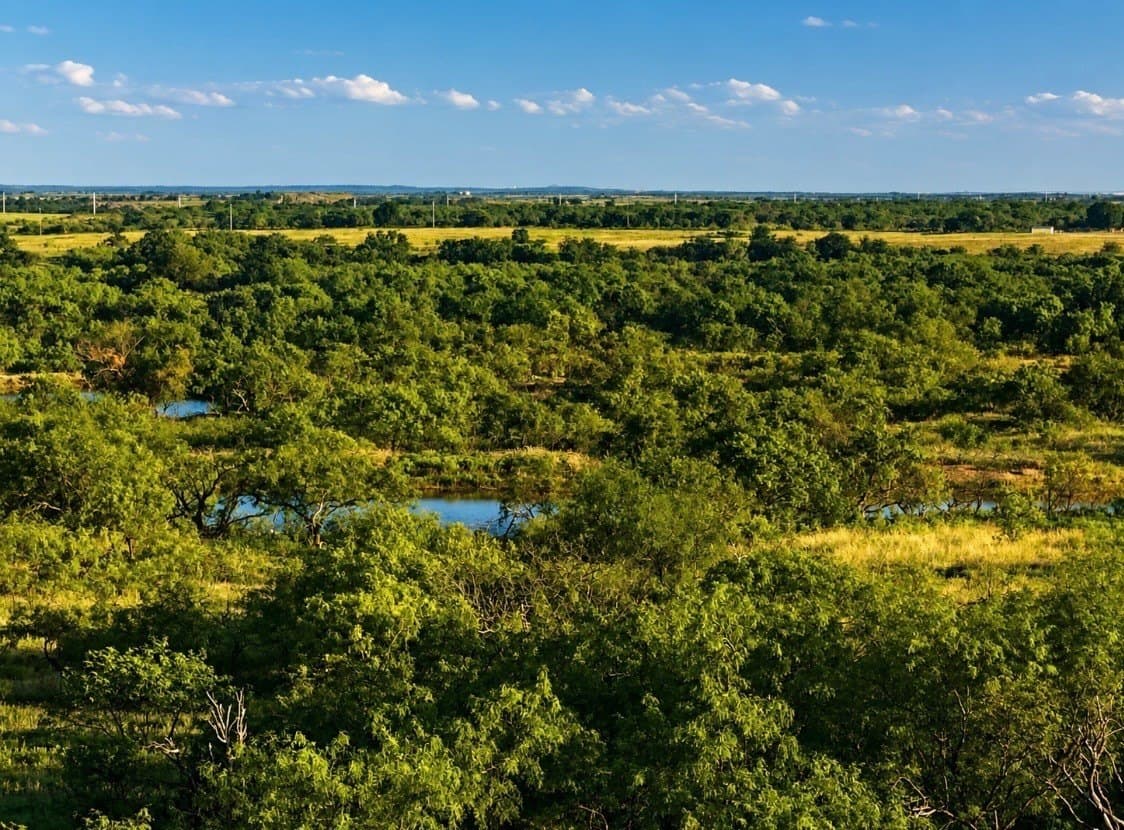 93.69 acres in Montague County - photo 18