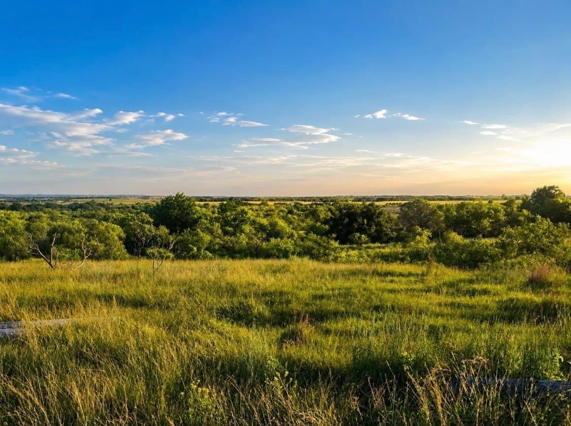 93.69 acres in Montague County - photo 17