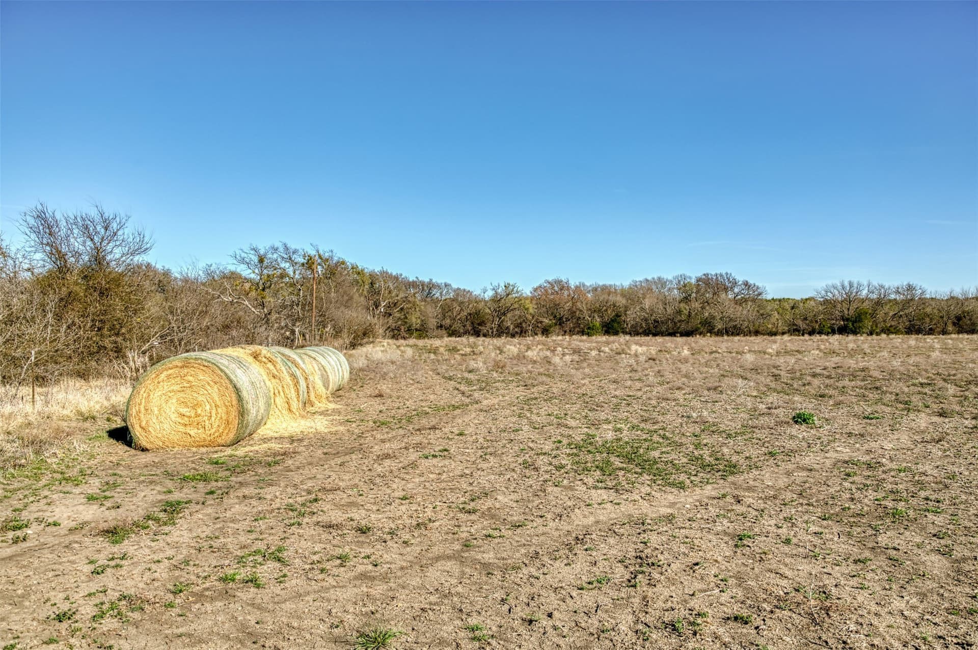 106.28 acres in Erath County - photo 38
