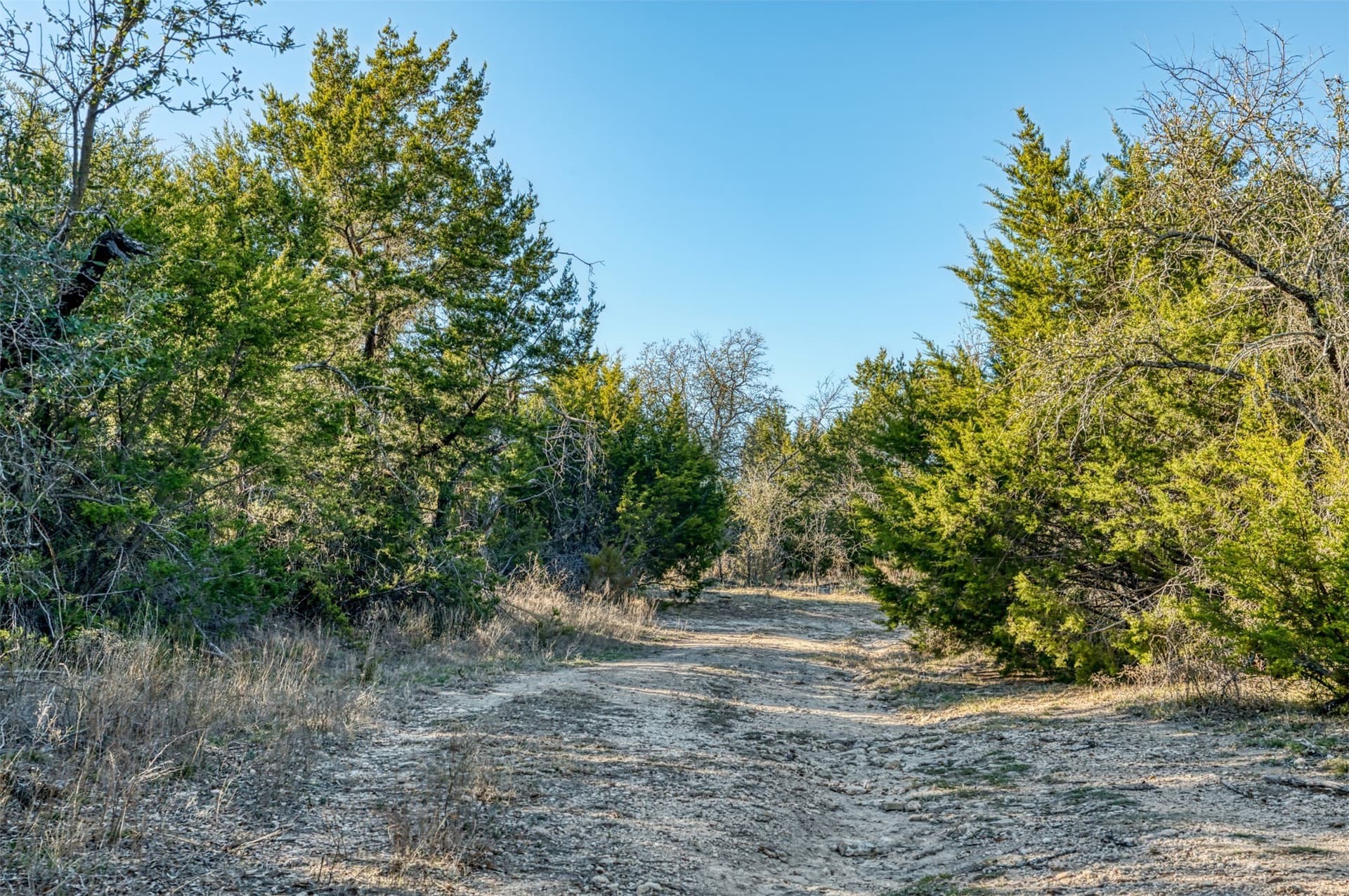 106.28 acres in Erath County - photo 15