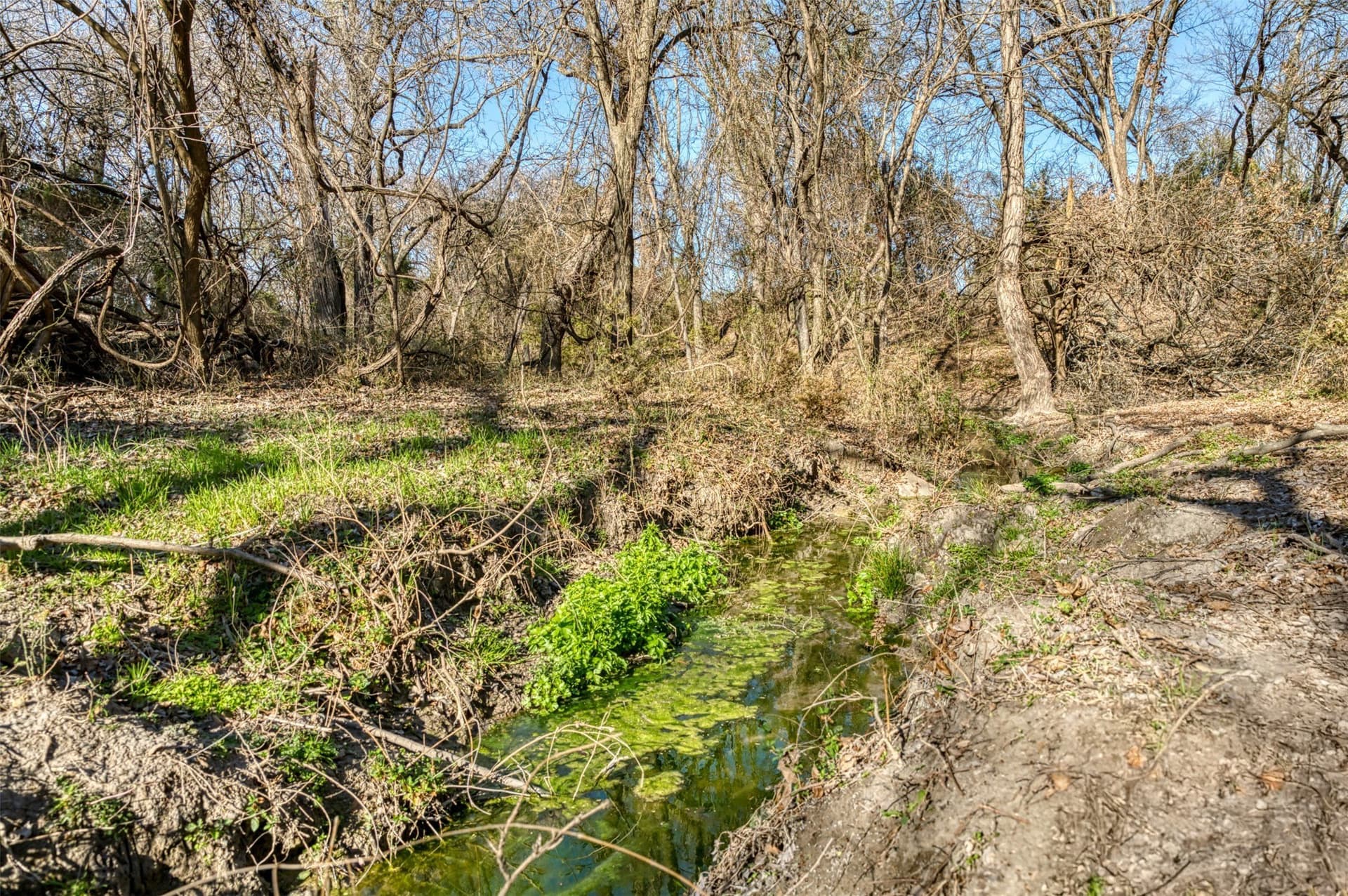 106.28 acres in Erath County - photo 29